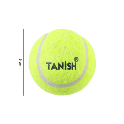 standard size tennis ball for game practice