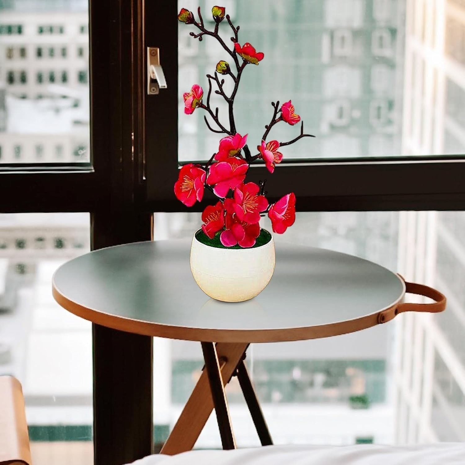 Tabletop Plant