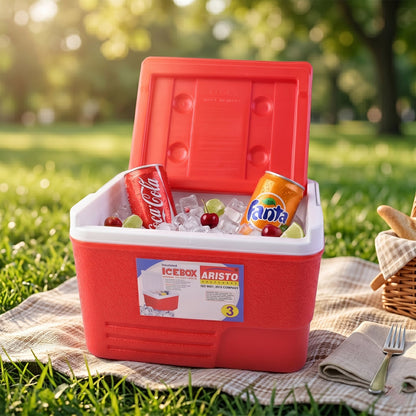 compact insulated beverage cooler box 3ltr