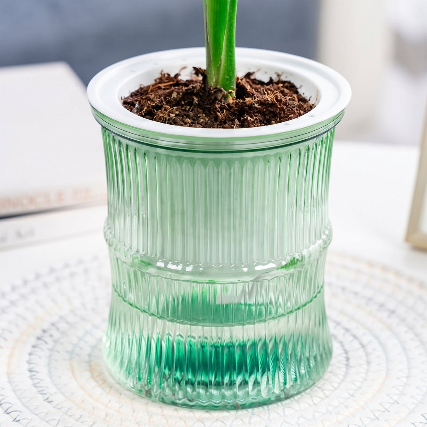 Self-Watering Bamboo Style Plastic Flower Pot with Cotton Wick (1 Pc)