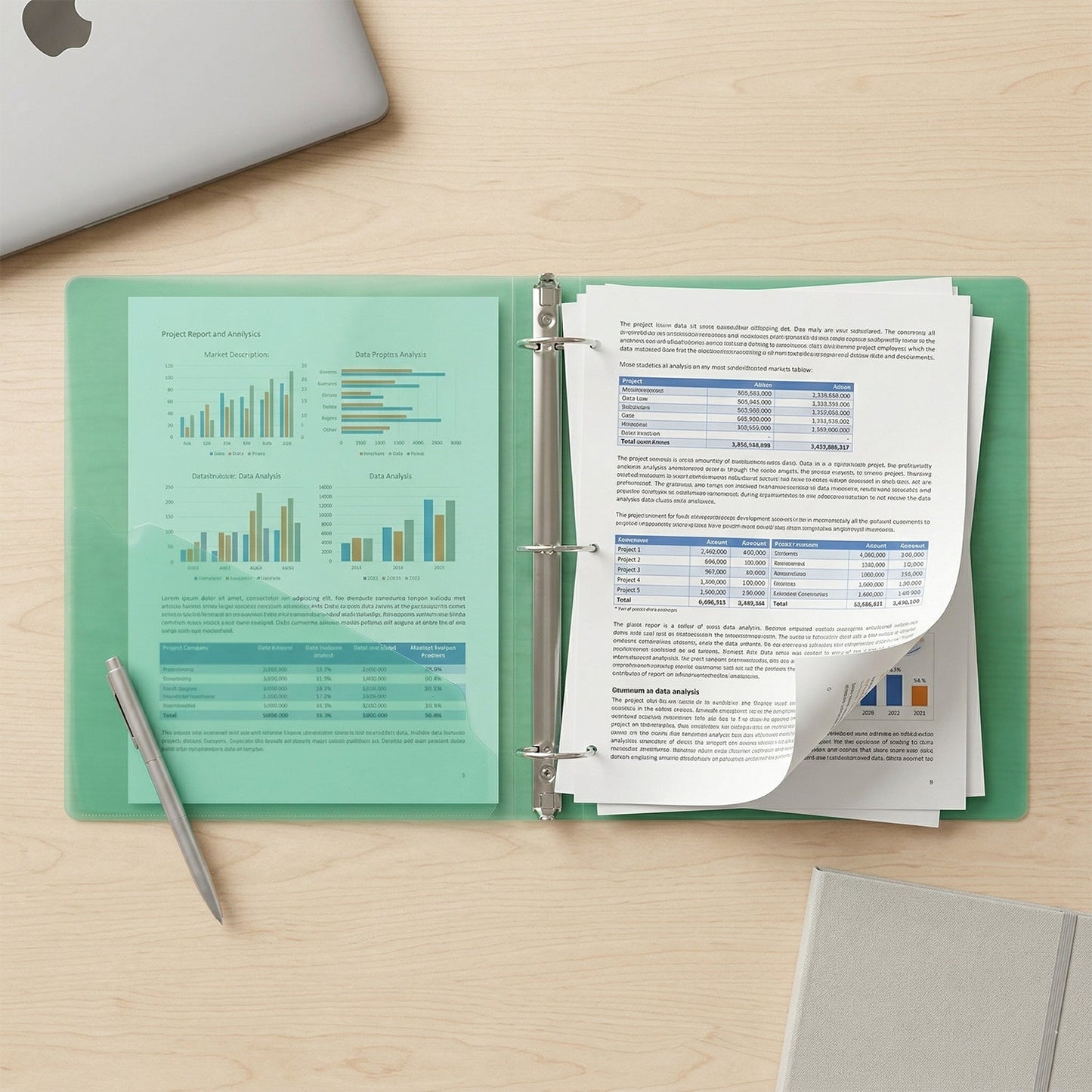 A4 transparent ring binder folder