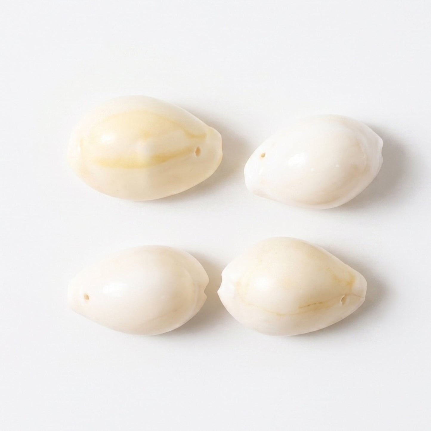 natural cowrie shells gaming pieces